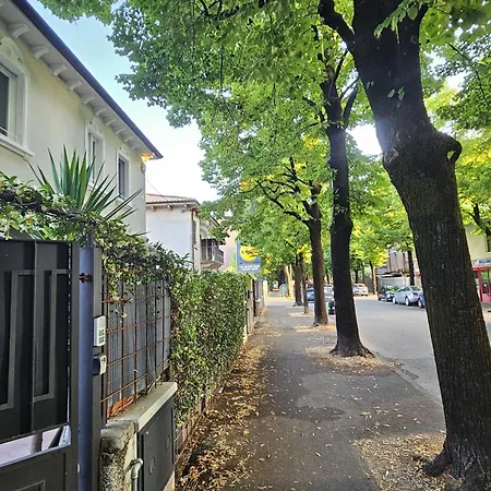 Joy - Lovely ורונה