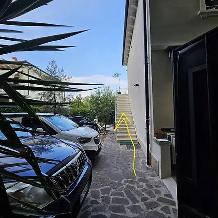 Joy - Lovely ורונה