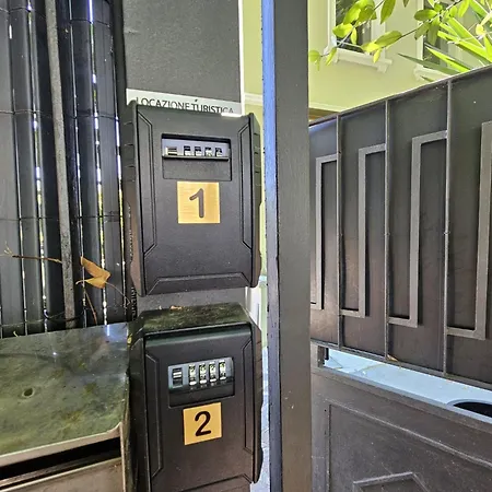 Joy - Lovely * ורונה